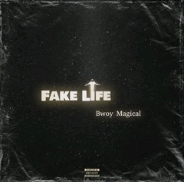 Fake Life - Bwoy Magical